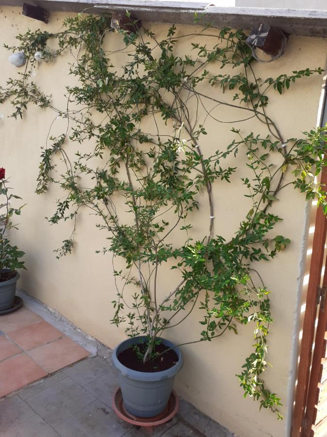 Ferienwohnung 17 Flats And Roof Garden Athen Exterior foto